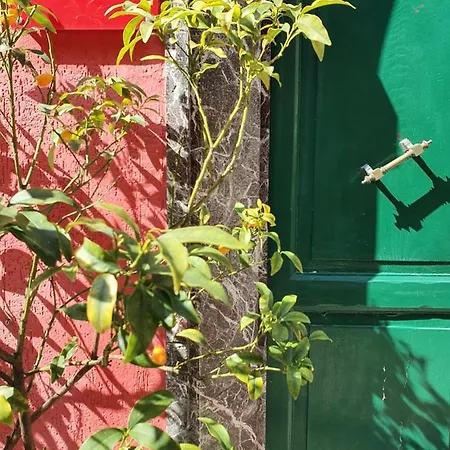 Boutique Novecento 2*