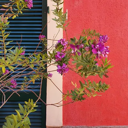 Hotell Boutique Novecento