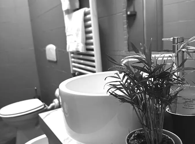 Boutique Novecento ホテル 2*