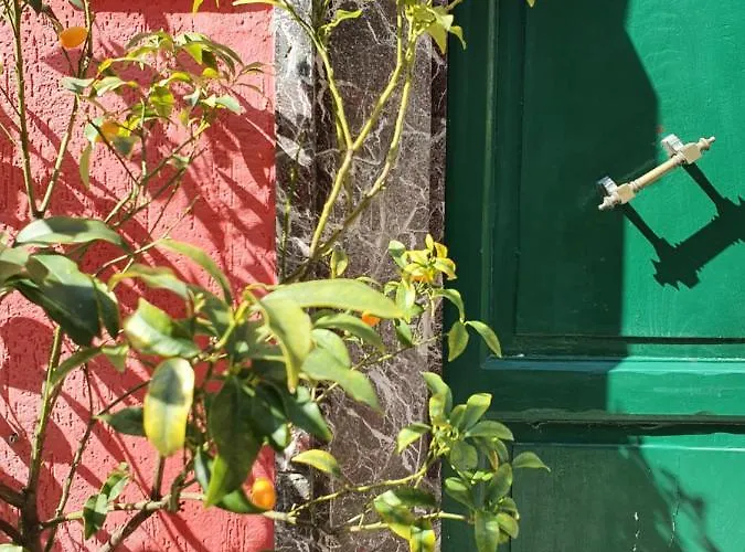 Boutique Novecento 2*