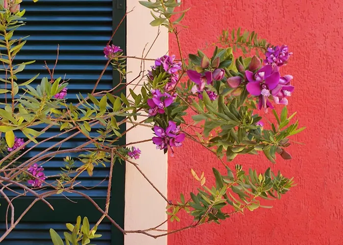 ホテル Boutique Novecento