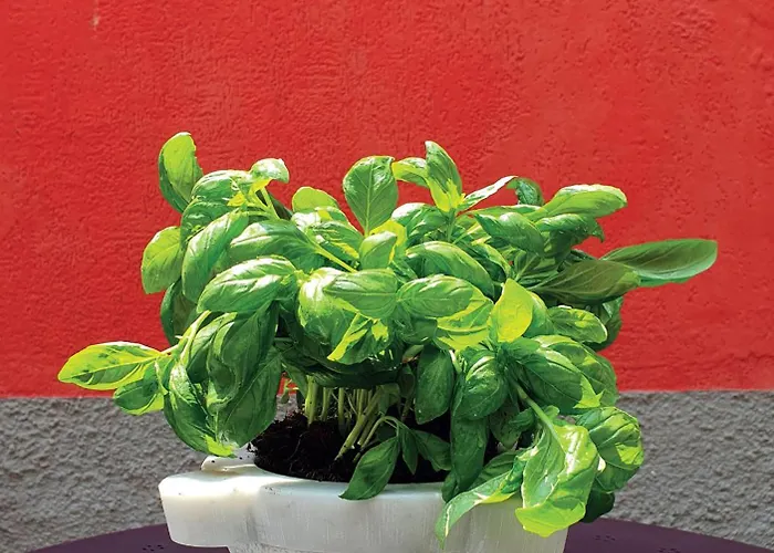 ホテル Boutique Novecento ラ・スペツィア